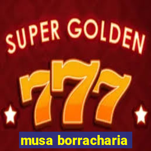 musa borracharia